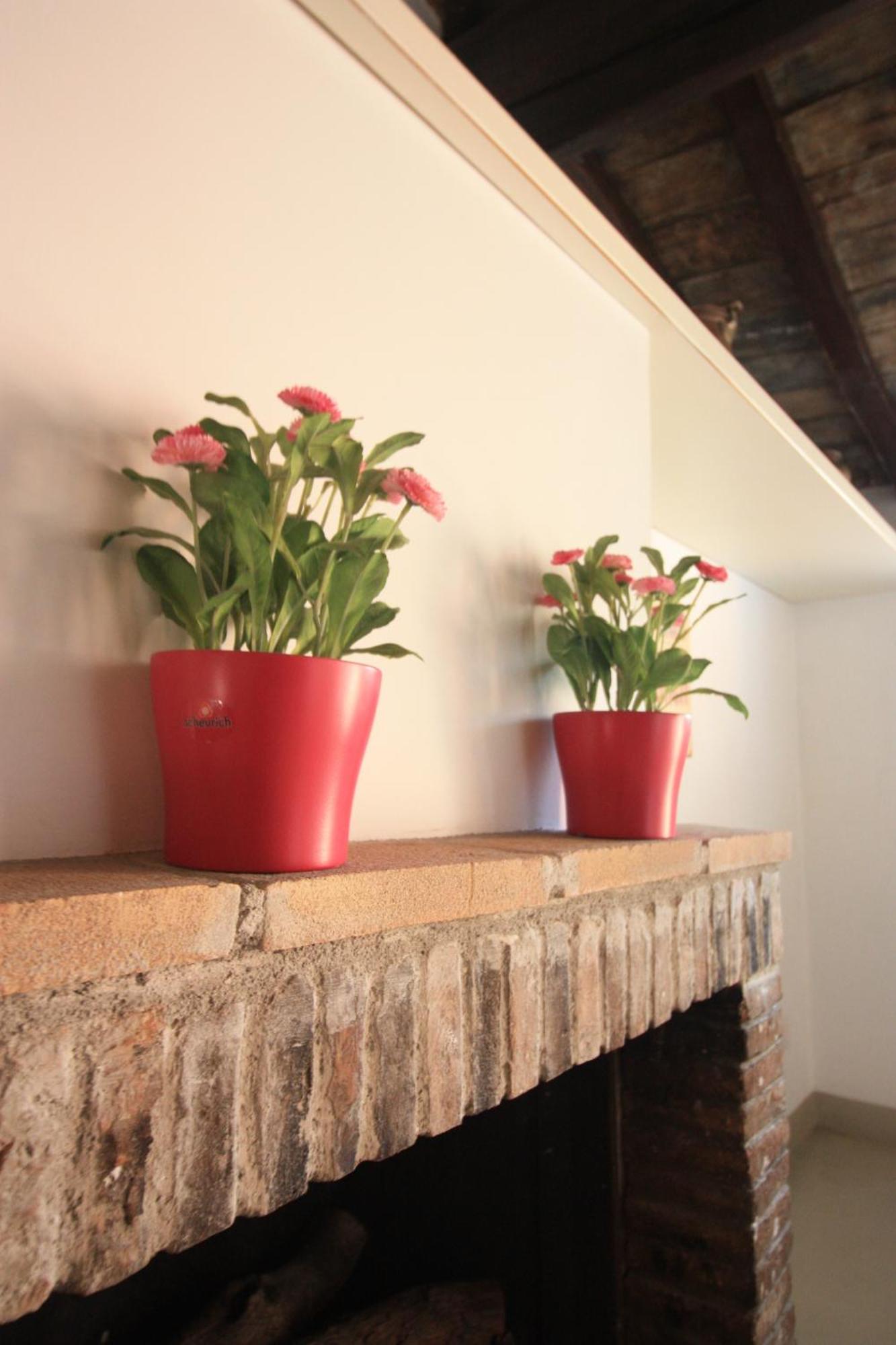 Bed and breakfast Calisto 6 Roma